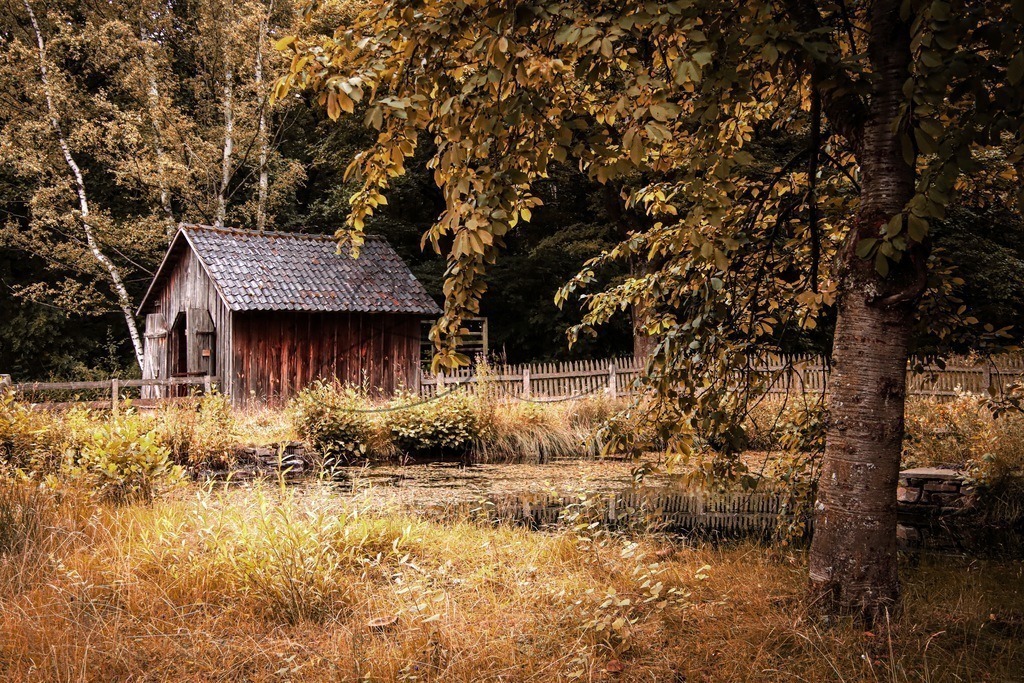 Holzschuppen am Teich | Simone Sperber, svb-photography,Fotografin,Bilddesignerin,Naturfotografie,Macrofotografie,Tierfotografie,Wildtierfotografie,Ausstellungen,Auftragsfotografie,Kunst,Art,Photographer,Shootings,Bildberatbeitung,Galerie,Shop