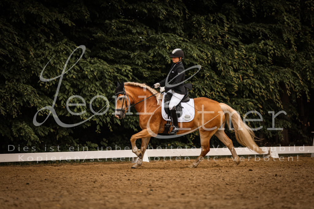 DoDrA200050 | Leoni Ertmer Photography - Realisiert mit Pictrs.com