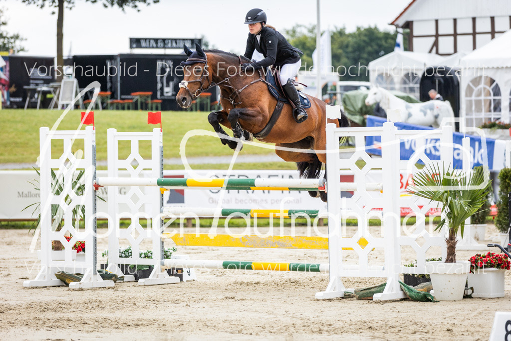 BHO-2PhSpr-M-177 | MomenTaufnahmen Pferdesportfotos