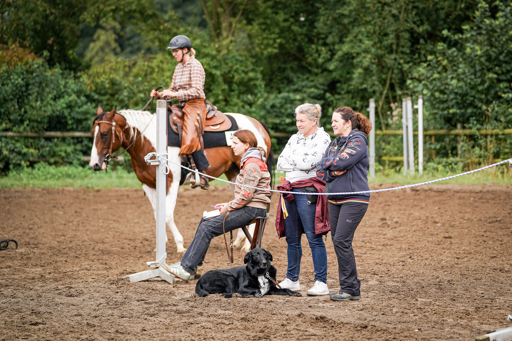 DSC04045 | Pferdegrafie