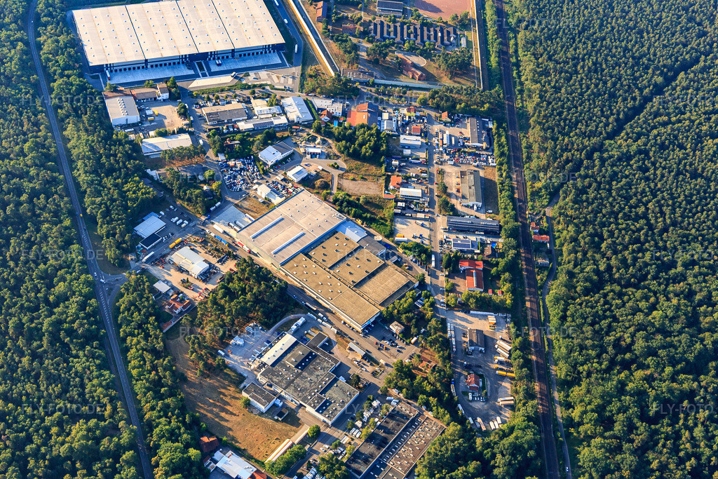 Luftbild: Industriegebiet Carl-Benz-Straße mit G. Staehle GmbH & Co. und Türmerleim GmbH in Schifferstadt im Bundesland Rheinland-Pfalz in Deutschland.Foto: IMG_109591.jpg vom 31.07.2018 durch Werner Riehm/FLY-FOTO.deWWW.STAEHLE.DETürmerleim
