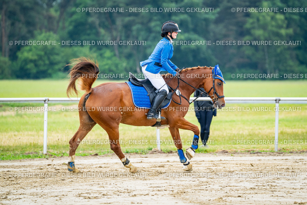 DSC02743 | Pferdegrafie