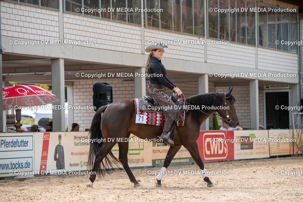 EWP_6451 | dv-media-shop - Realisiert mit Pictrs.com