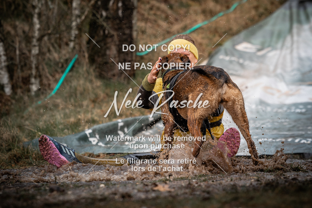 nelerasche_1030-1100_12 | nelerasche