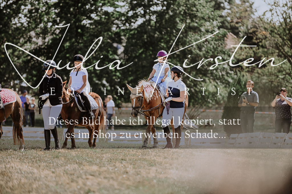 DSC_8852 | Pferde- und Turnierfotografie in Westsachsen. Pferdeportraits, Auftragszeichnungen und intuitive Kunst.