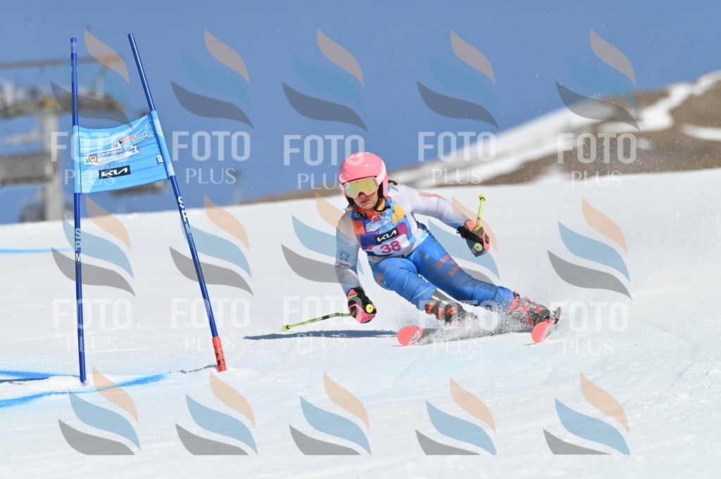 BGV_8313 | holidayphoto