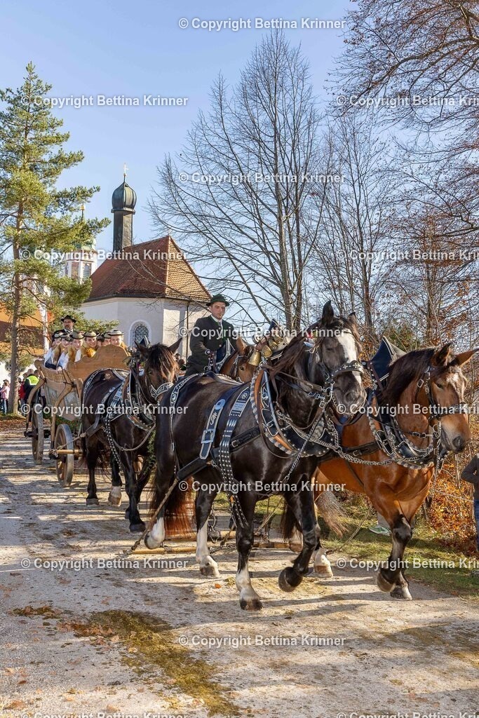 LBT25-1403 | foto-bettina-krinner - Realisiert mit Pictrs.com