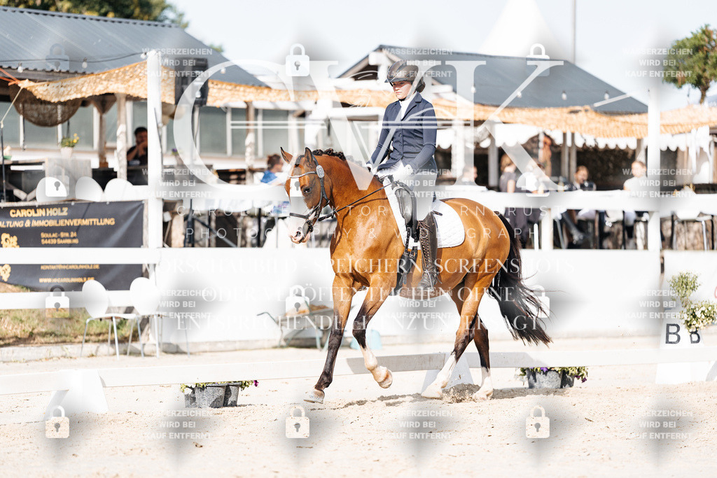 CK905406 | Turnierfotografie Pferdefotografie Trier Rheinland-Pfalz Pferdesport Reitsport Tierfotografie Sportfotografie Pferdevideo Pferdevideografie Equestrianvideography equestrianphotography  - Realisiert mit Pictrs.com