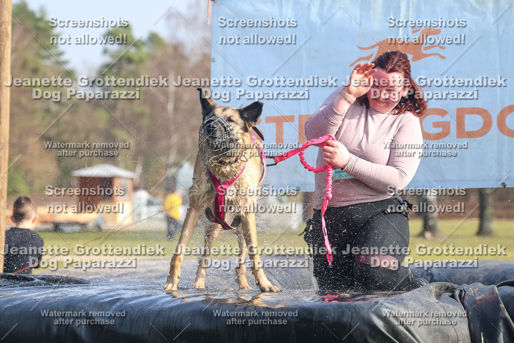 Dog Paparazzi - Strongdog North Mrz26-2057 | Dog Paparazzi Jeanette Grottendiek Fotografie & Videografie - Realisiert mit Pictrs.com