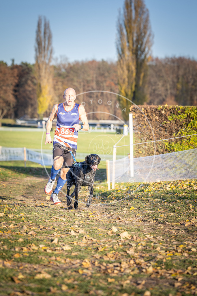 CaniXpix_DV3A4139 | Hundefotografie, Tierfotograf, Pfotenfotografie, Fotoshooting Hund, Hunde Portrait, Hundesport, Hundeportraits, Heideshooting, Hunde, Sportfotograf, Hundefotograf, Turnierhundsport, THS,  - Realisiert mit Pictrs.com