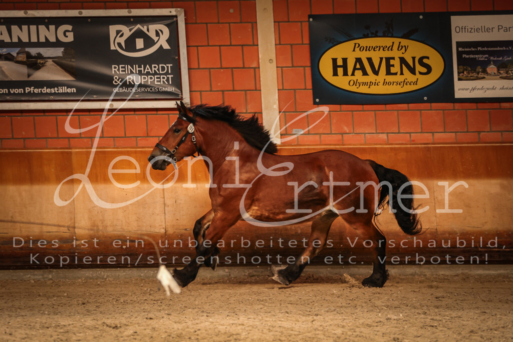 SaFL00152 | Leoni Ertmer Photography - Realisiert mit Pictrs.com