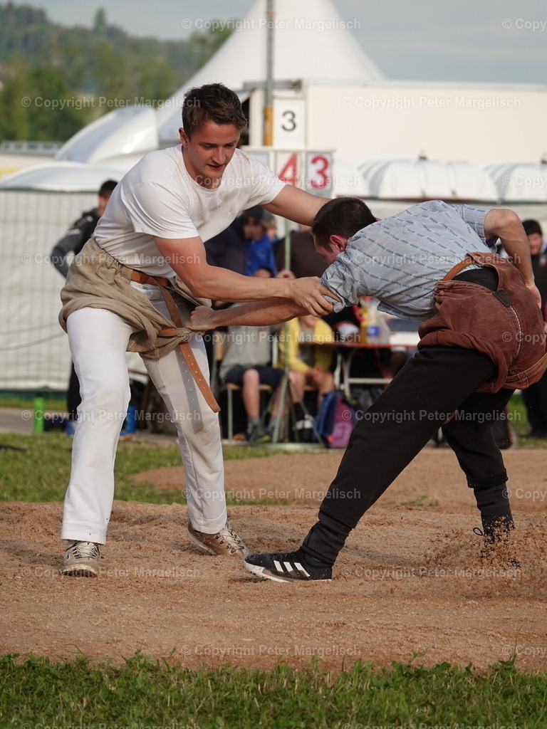 DSC06601 | Schwingen - Realisiert mit Pictrs.com