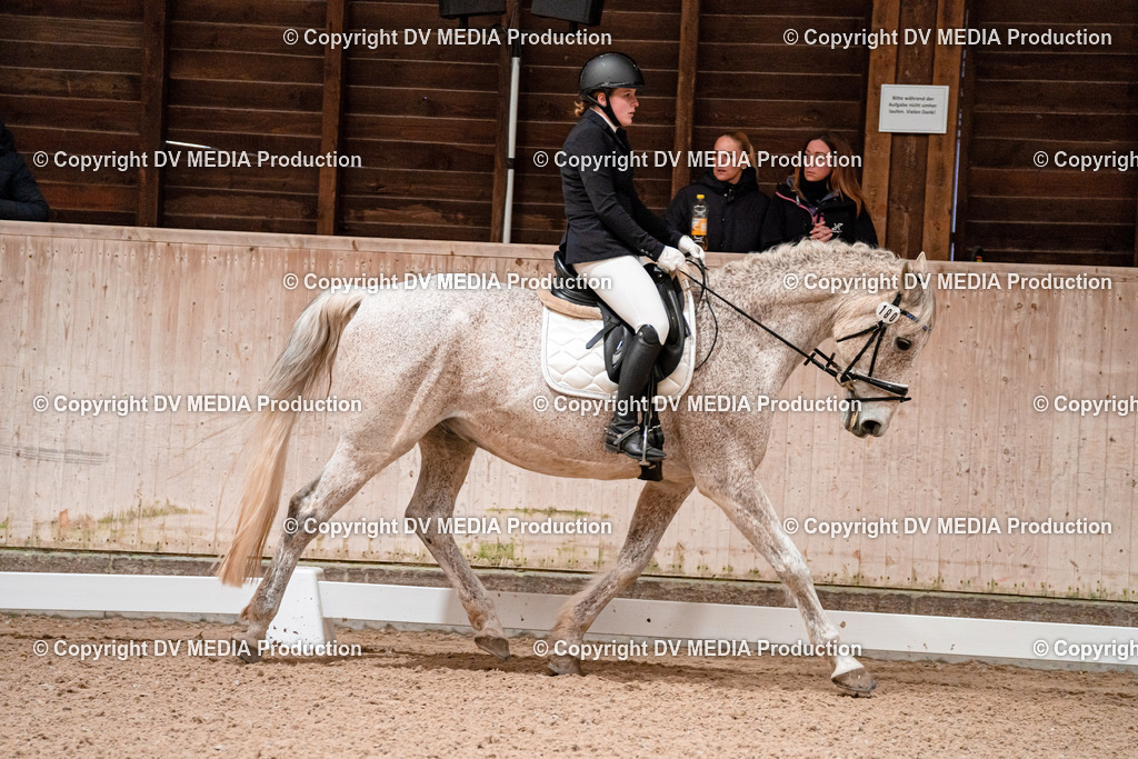 Dressur Tag 3-229 | dv-media-shop - Realisiert mit Pictrs.com