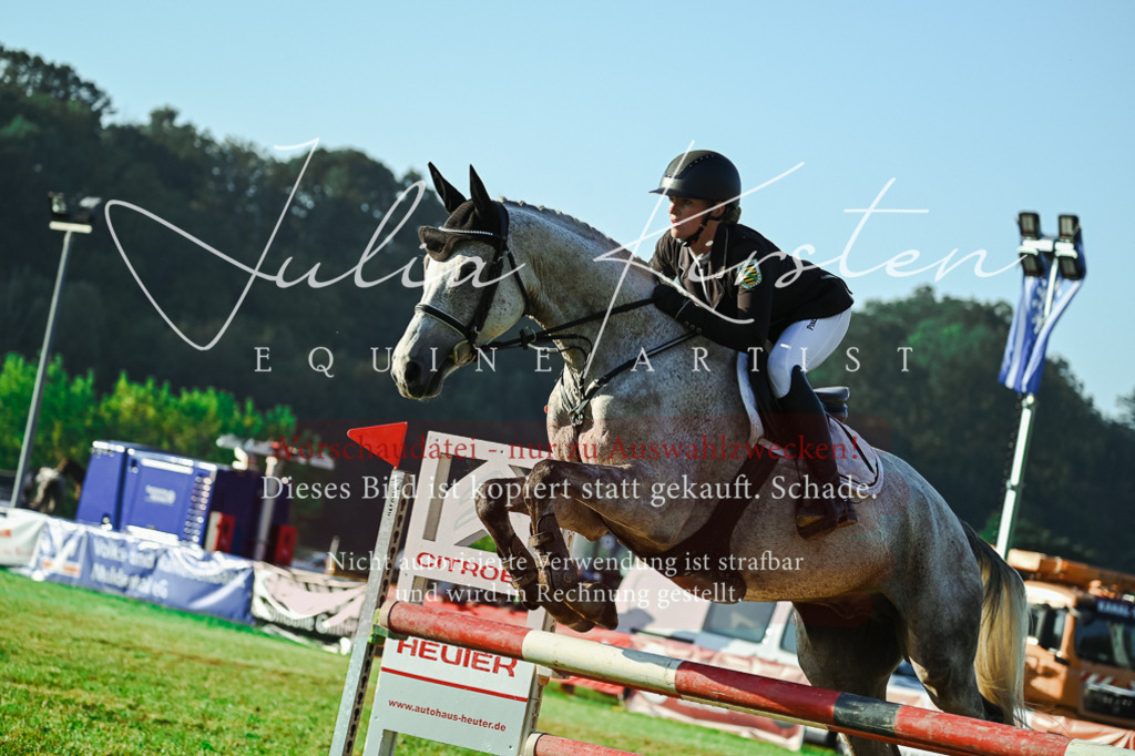 DSC_4256 | Pferde- und Turnierfotografie in Westsachsen. Pferdeportraits, Auftragszeichnungen und intuitive Kunst.
