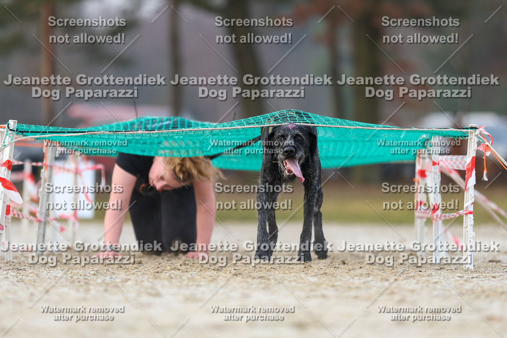 Dog Paparazzi - Strongdog North Mrz26-3696 | Dog Paparazzi Jeanette Grottendiek Fotografie & Videografie - Realisiert mit Pictrs.com