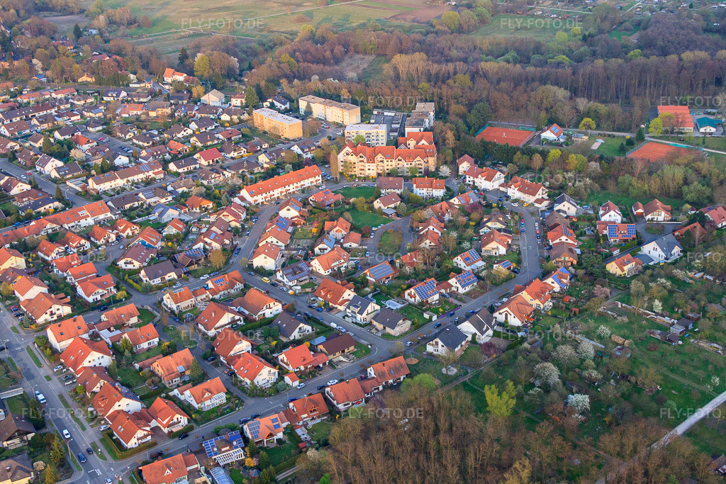 Luftbild: Blumenring in Jockgrim im Bundesland Rheinland-Pfalz in Deutschland. Foto: IMG_63417.jpg vom 28.03.2014 durch Werner Riehm/FLY-FOTO.de