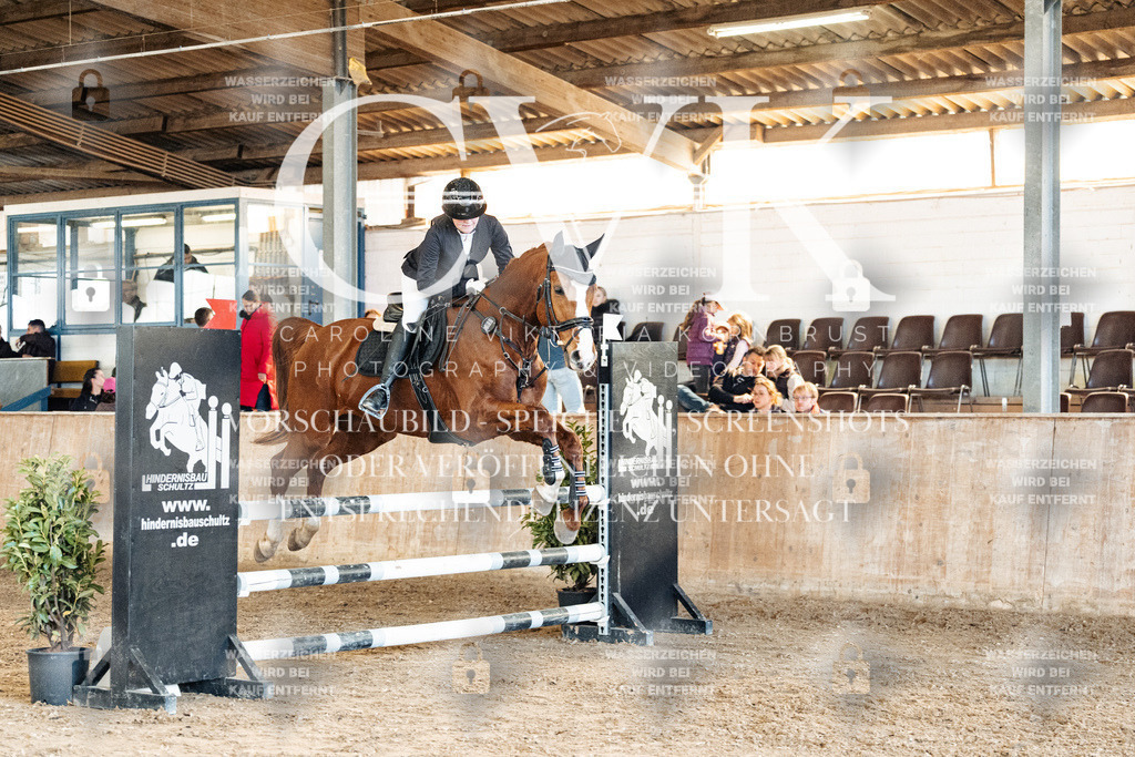 CK905041 | Turnierfotografie Pferdefotografie Trier Rheinland-Pfalz Pferdesport Reitsport Tierfotografie Sportfotografie Pferdevideo Pferdevideografie Equestrianvideography equestrianphotography  - Realisiert mit Pictrs.com