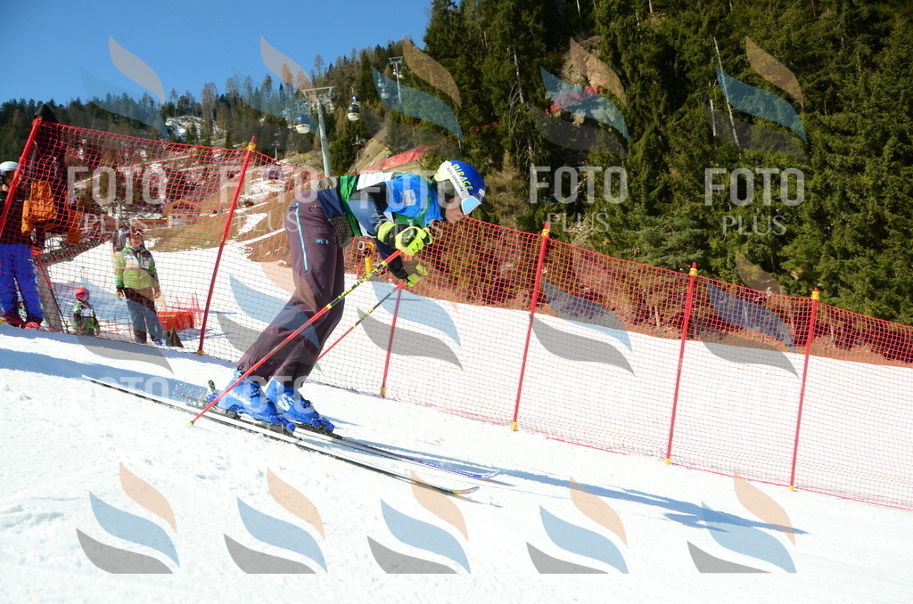 C7005 | holidayphoto