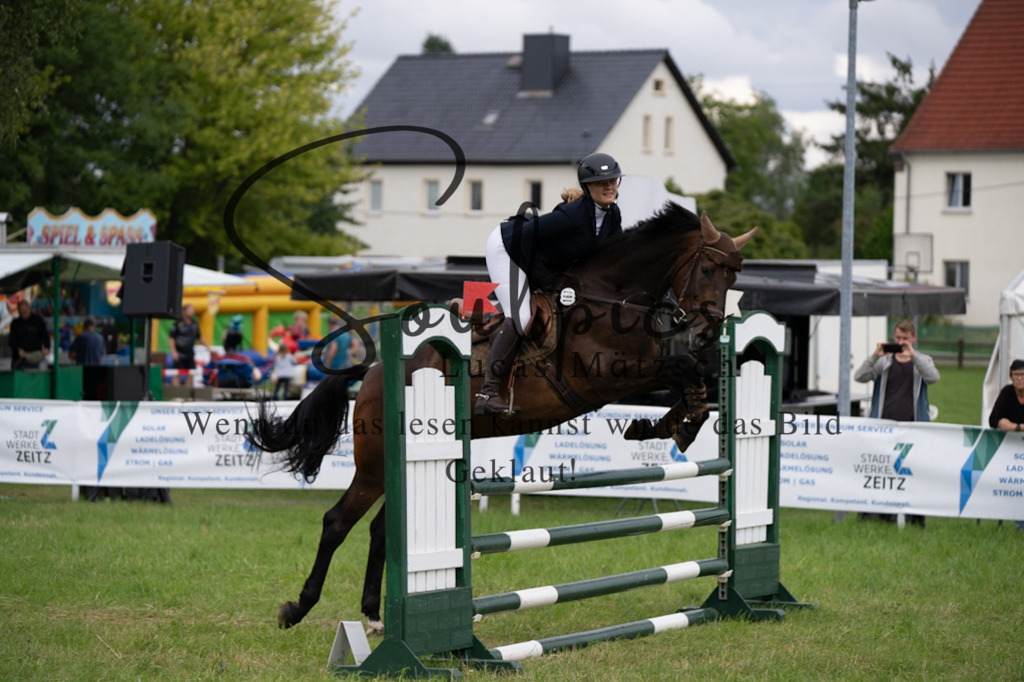 A7V03947 | Pferdefotograf