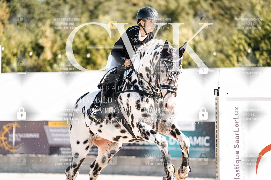 CK905013 | Turnierfotografie Pferdefotografie Trier Rheinland-Pfalz Pferdesport Reitsport Tierfotografie Sportfotografie Pferdevideo Pferdevideografie Equestrianvideography equestrianphotography  - Realisiert mit Pictrs.com