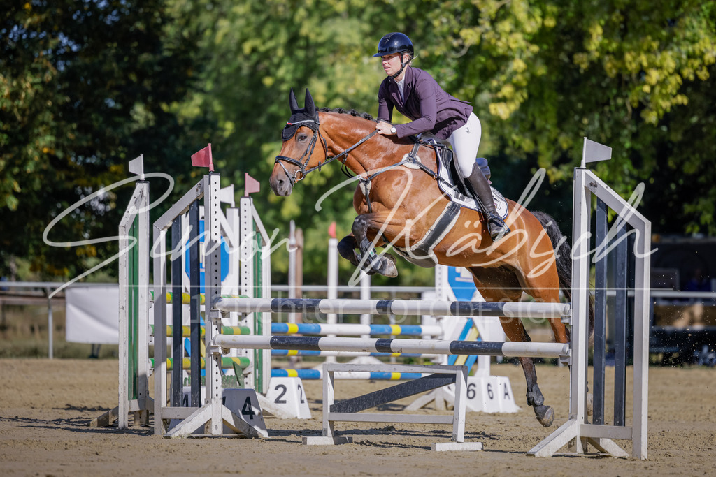 20250906-_3LI3369 | Tierfotografie Pferde, Hunde, Katzen, Haustiere.
Turnierfotografie Reitturniere, Reiten, Springreiten, Dressur in Hanau, dem Main-Kinzig-Kreis und dem Rhein-Main- Gebiet um Frankfurt