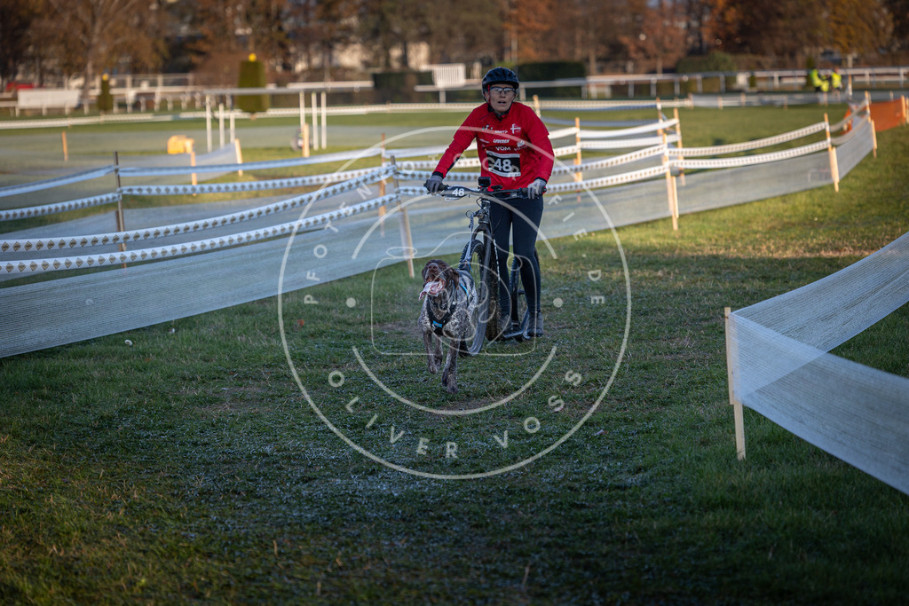 CaniXpix_0L8A2518 | Hundefotografie, Tierfotograf, Pfotenfotografie, Fotoshooting Hund, Hunde Portrait, Hundesport, Hundeportraits, Heideshooting, Hunde, Sportfotograf, Hundefotograf, Turnierhundsport, THS,  - Realisiert mit Pictrs.com