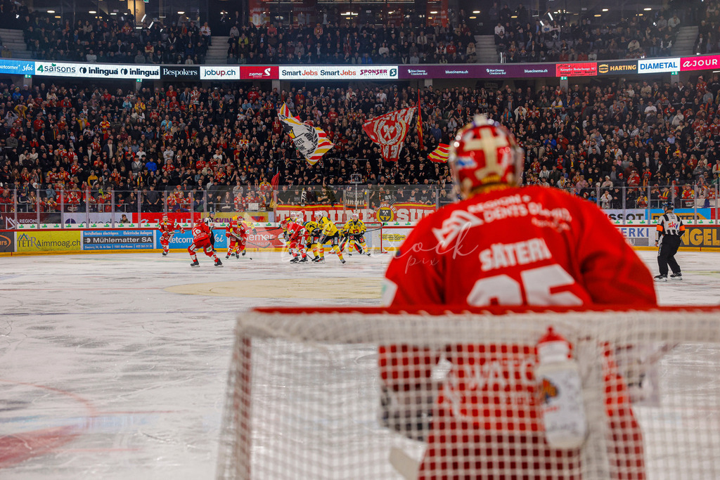 EHCB vs SCB 20260110_wb-3498 | Sportbilder, Sportfotograf, Hochzeits- und Eventfotografin, Flugshows, Portraits und Tiershooting, Aviation, Downhill, Nationalleague, Swissleague, International
