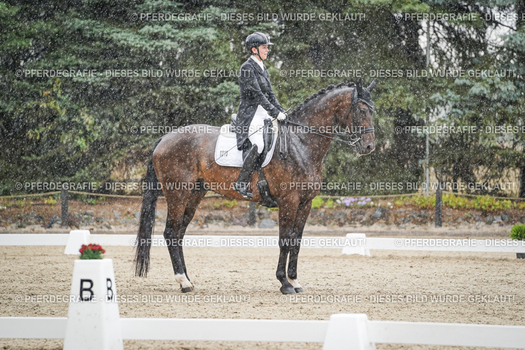 DSC08096 | Pferdegrafie