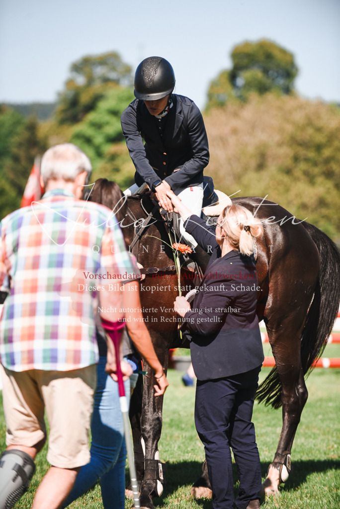 DSC_2616 | Pferde- und Turnierfotografie in Westsachsen. Pferdeportraits, Auftragszeichnungen und intuitive Kunst.