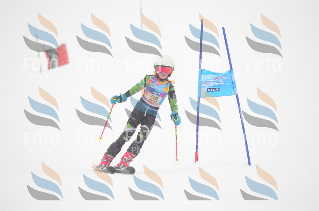 C0740 | holidayphoto