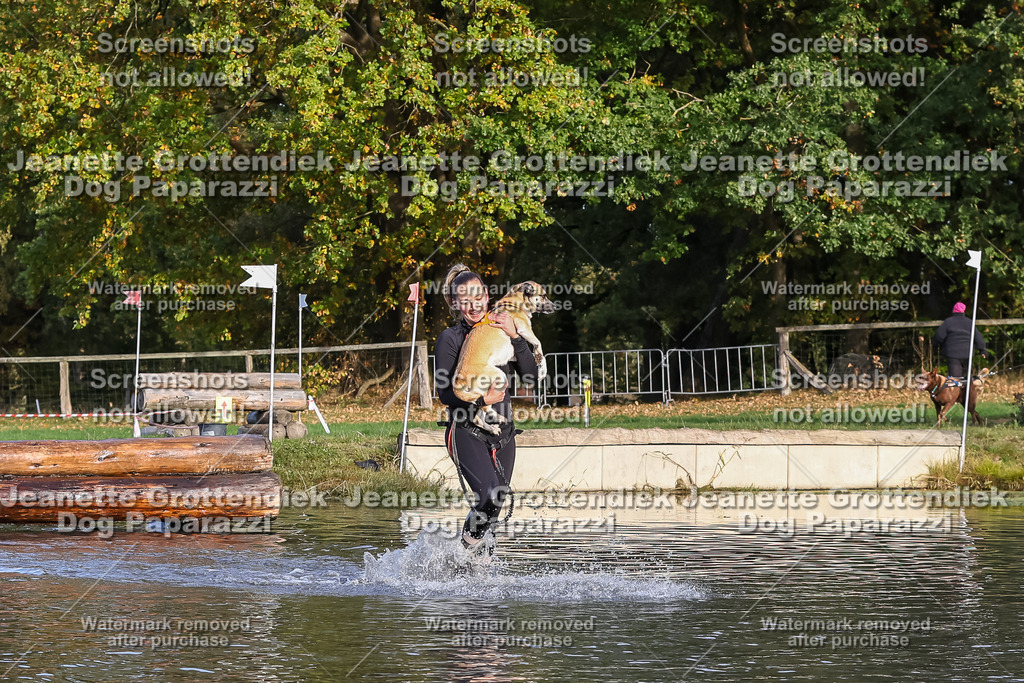 Dog Paparazzi - Strongdog 10-25-8398 | Dog Paparazzi Jeanette Grottendiek Fotografie & Videografie - Realisiert mit Pictrs.com