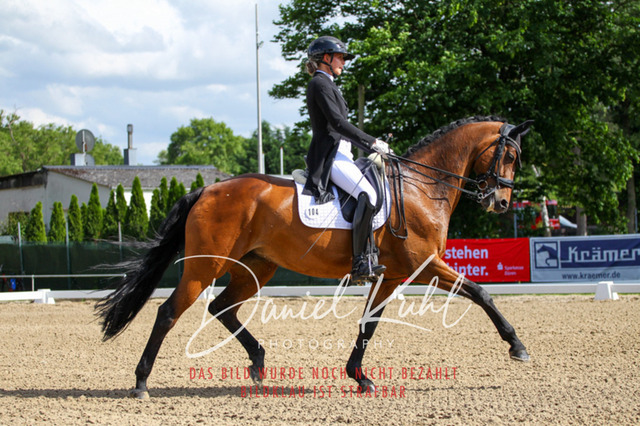 DKP41396 | Deine Turnierfotos vom Reitturnier online kaufen: Dressur, Springen & Siegerehrung. Professionelle Pferdefotografie aus dem Rheinland – als Download & Print.Alternative: Turnierfotograf für den Pferdesport: Finde deine Fotos von Dressur- und Springturnier