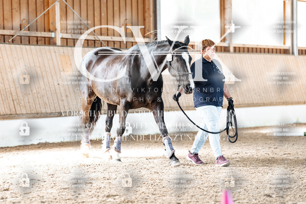 CK906222 | Turnierfotografie Pferdefotografie Trier Rheinland-Pfalz Pferdesport Reitsport Tierfotografie Sportfotografie Pferdevideo Pferdevideografie Equestrianvideography equestrianphotography  - Realisiert mit Pictrs.com
