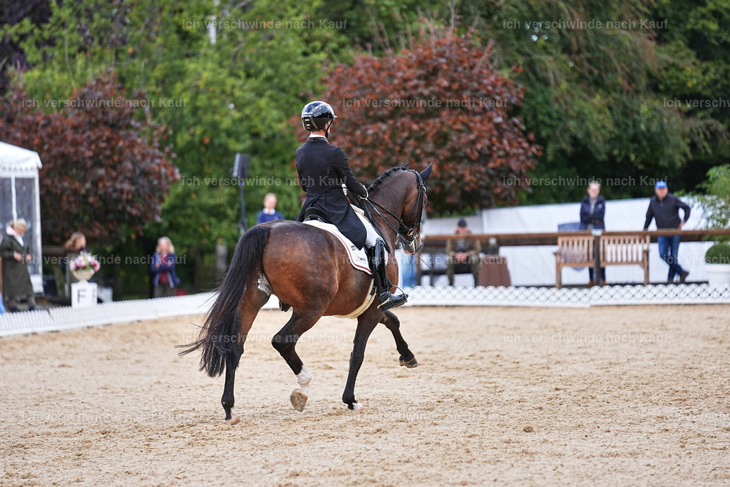 10-207-ST.GEORG SPECIAL -Marixx-3392 | working equitationturnier fotograf videograf stoibphotography marixx film working equitation deutschland reitsport turnierfotografie eventfotografie equestrian events