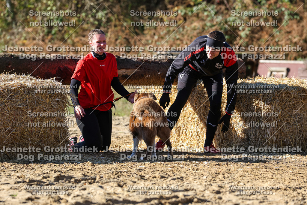 Dog Paparazzi - Strongdog 10-25-2800 | Dog Paparazzi Jeanette Grottendiek Fotografie & Videografie - Realisiert mit Pictrs.com