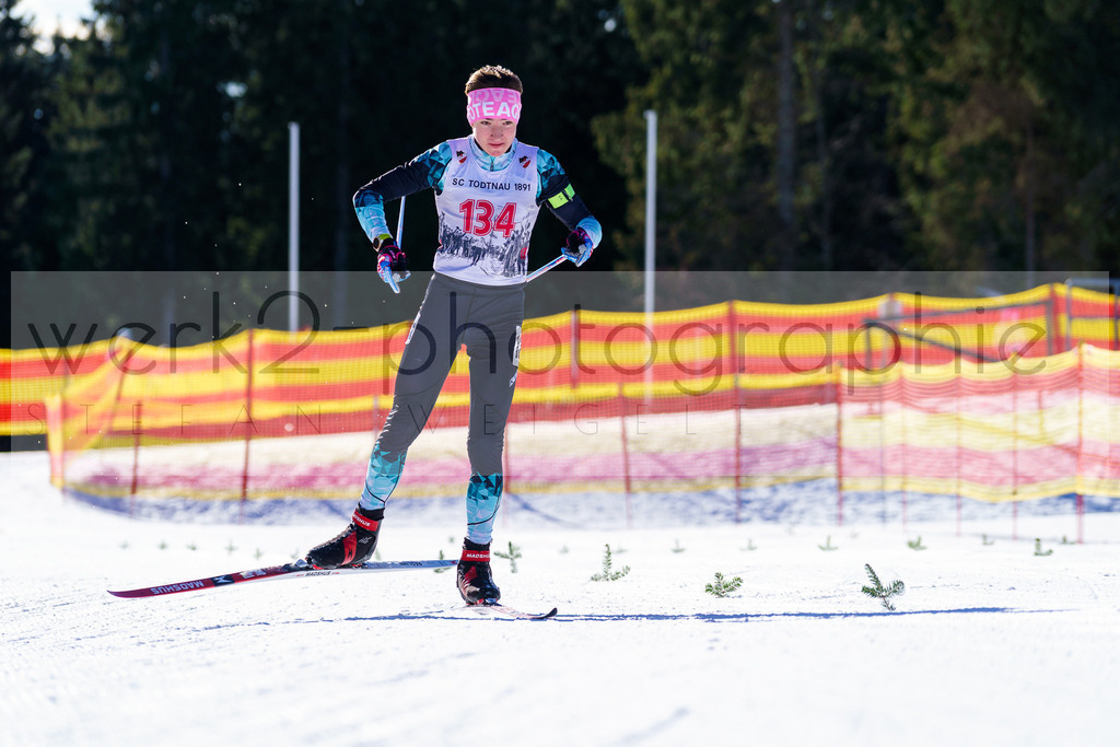 DSC Notschrei | 2. DSV E.INFRA Schülercup im Nordic-Center Notschrei am 17. bis 19. Januar 2025