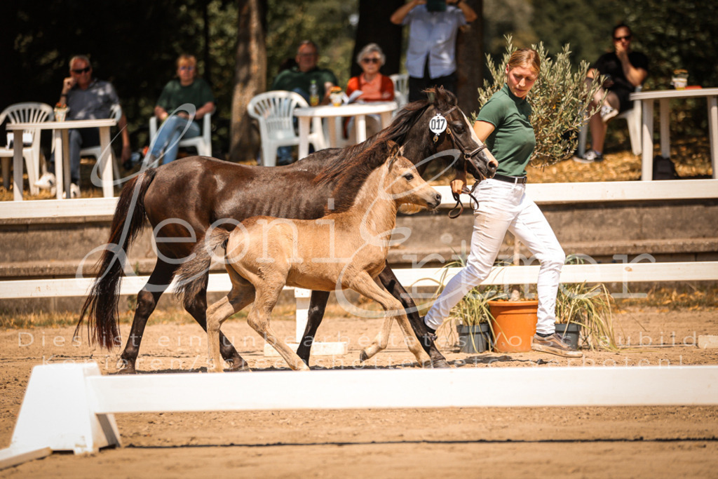 04.DoWP00036 | Leoni Ertmer Photography - Realisiert mit Pictrs.com