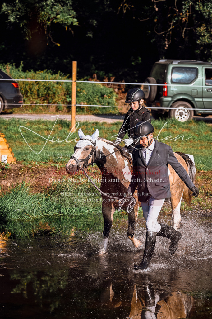 DSC_0336 | Pferde- und Turnierfotografie in Westsachsen. Pferdeportraits, Auftragszeichnungen und intuitive Kunst.