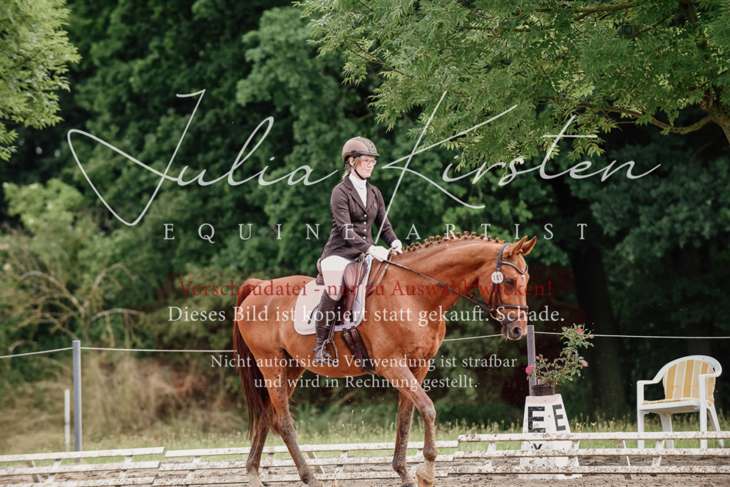 DSC_9681 | Pferde- und Turnierfotografie in Westsachsen. Pferdeportraits, Auftragszeichnungen und intuitive Kunst.