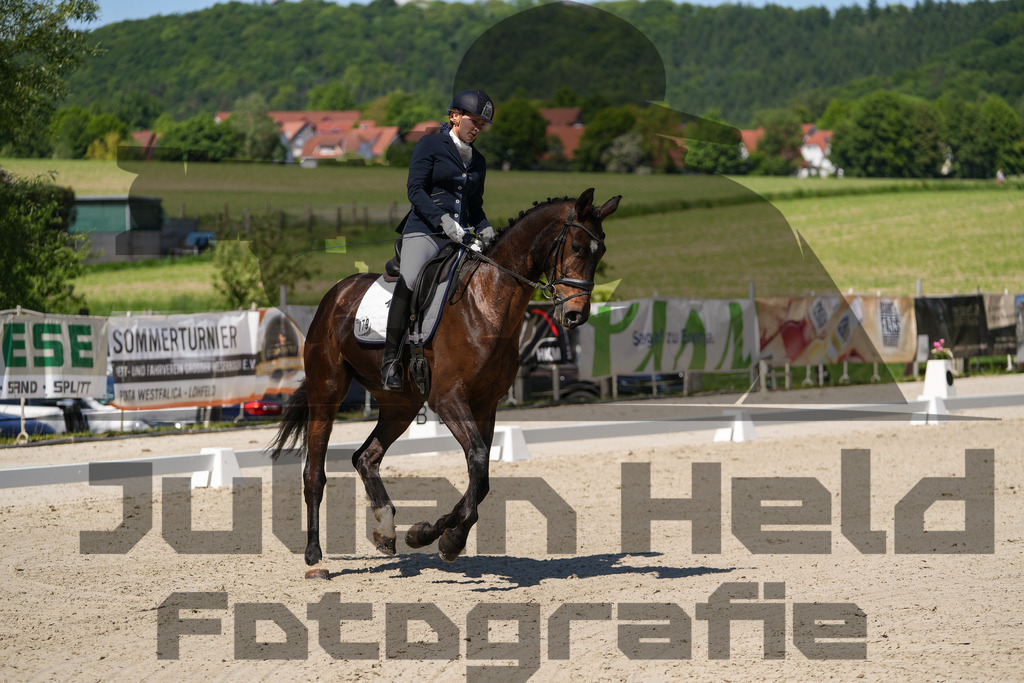 DSC00337 | Julian Held Fotografie - Realisiert mit Pictrs.com