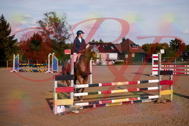 2026_10_03_Siefer-Hof_171151_Z81_08477986 | Professionelle Reitsport-, Turnier- und Eventfotografie von Robert Broda. Galerien mit ausgewählten und bearbeiteten Bildern direkt online ansehen und bestellen.