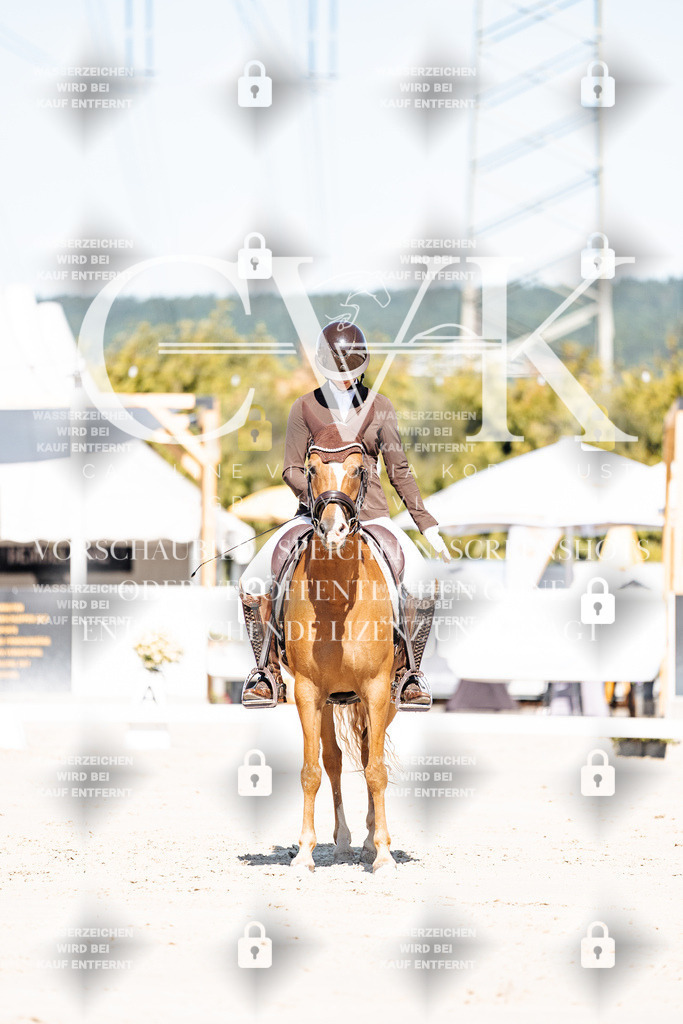 CK908975 | Turnierfotografie Pferdefotografie Trier Rheinland-Pfalz Pferdesport Reitsport Tierfotografie Sportfotografie Pferdevideo Pferdevideografie Equestrianvideography equestrianphotography  - Realisiert mit Pictrs.com