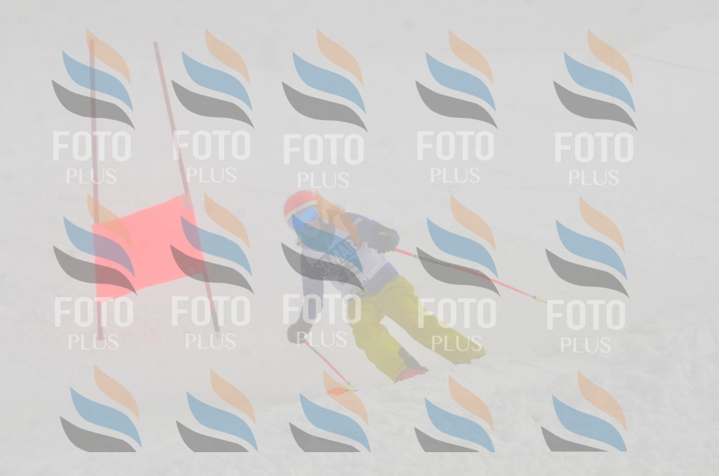 A5304 | holidayphoto