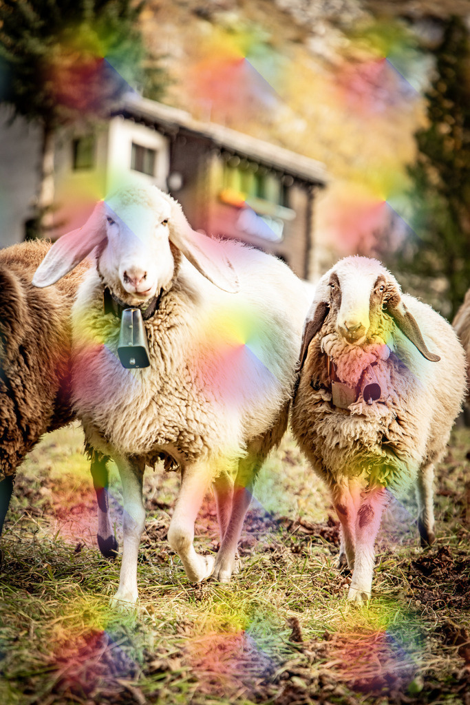 1M5A3817 | FineArtPrint, Hahnemühle, FeeGalerie, Fee Galerie, Fotokunst, Fotografie, Canonphotography, Bergfoto, Matterhorn, Rimpfischhorn, Allalinhorn, Saas-Fee, Wallis, Valais, Switzerland, Bergfotografie