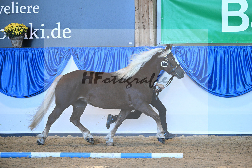 Kat-Nr. 106 Fennja_Reichmann_53220755 | hf-fotografie - Realizzato con Pictrs.com