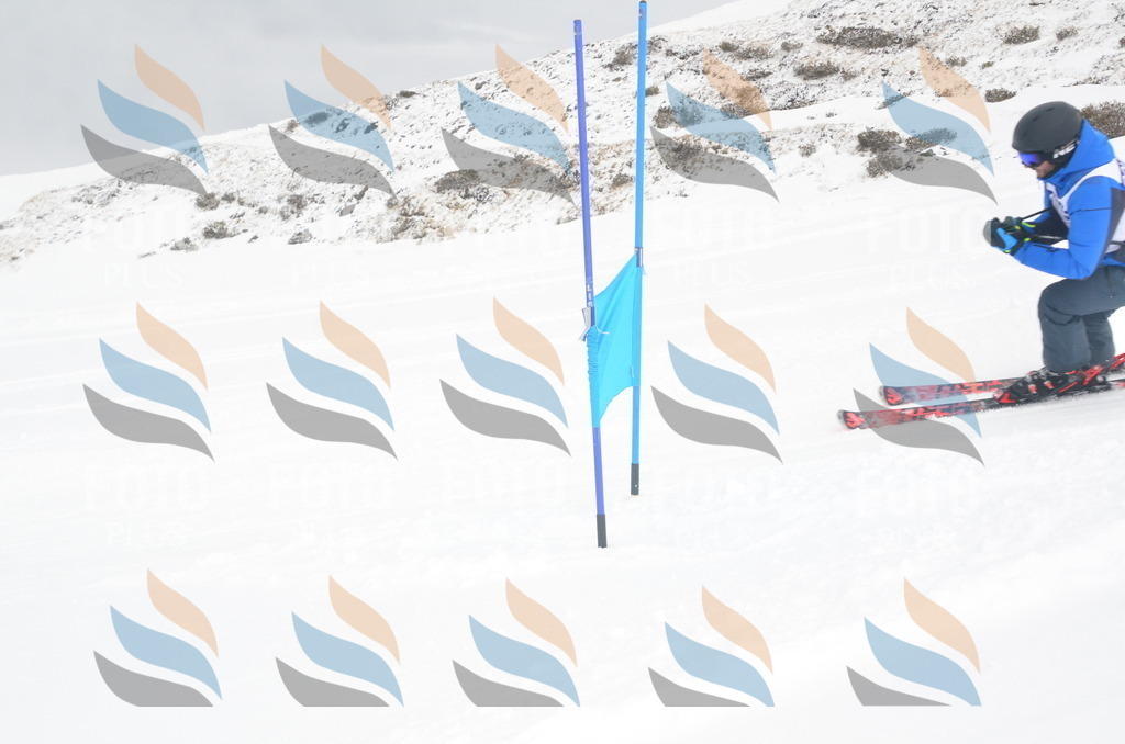 A6169 | holidayphoto