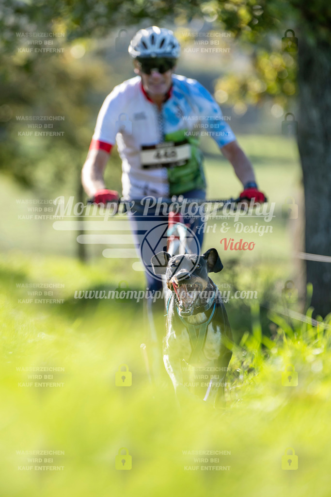 MompixPhotography_20TSB_E3_DS1-47 | PayLife