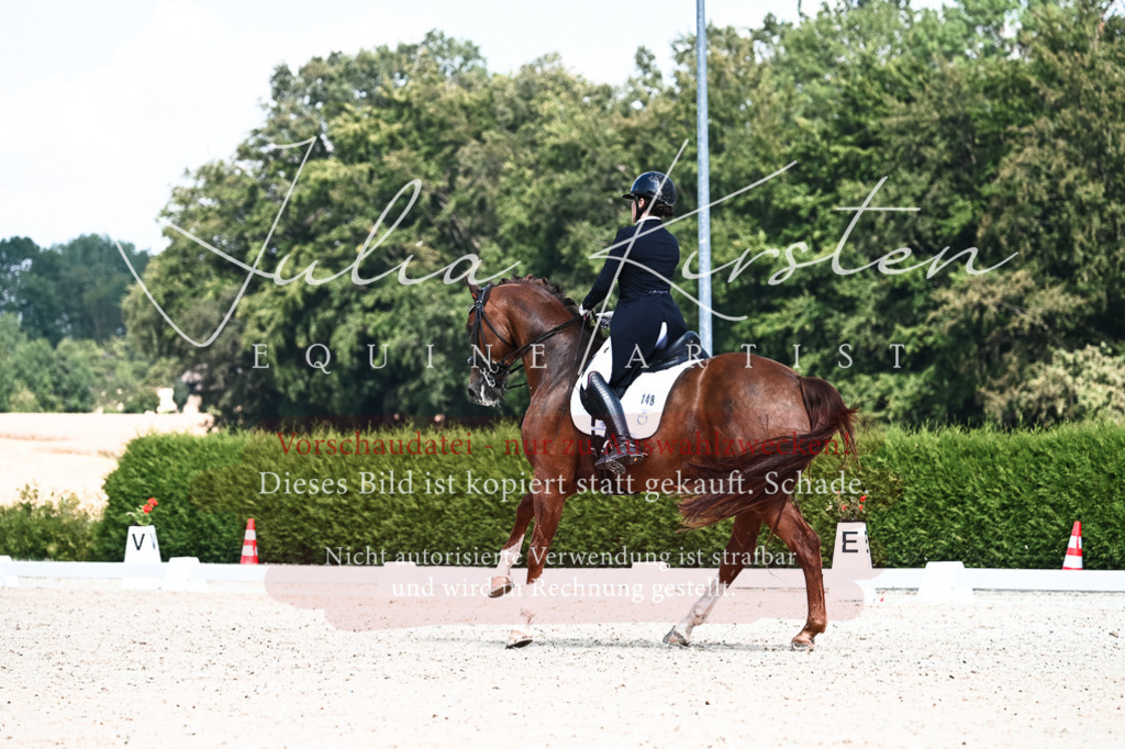 DSC_2881 | Pferde- und Turnierfotografie in Westsachsen. Pferdeportraits, Auftragszeichnungen und intuitive Kunst.