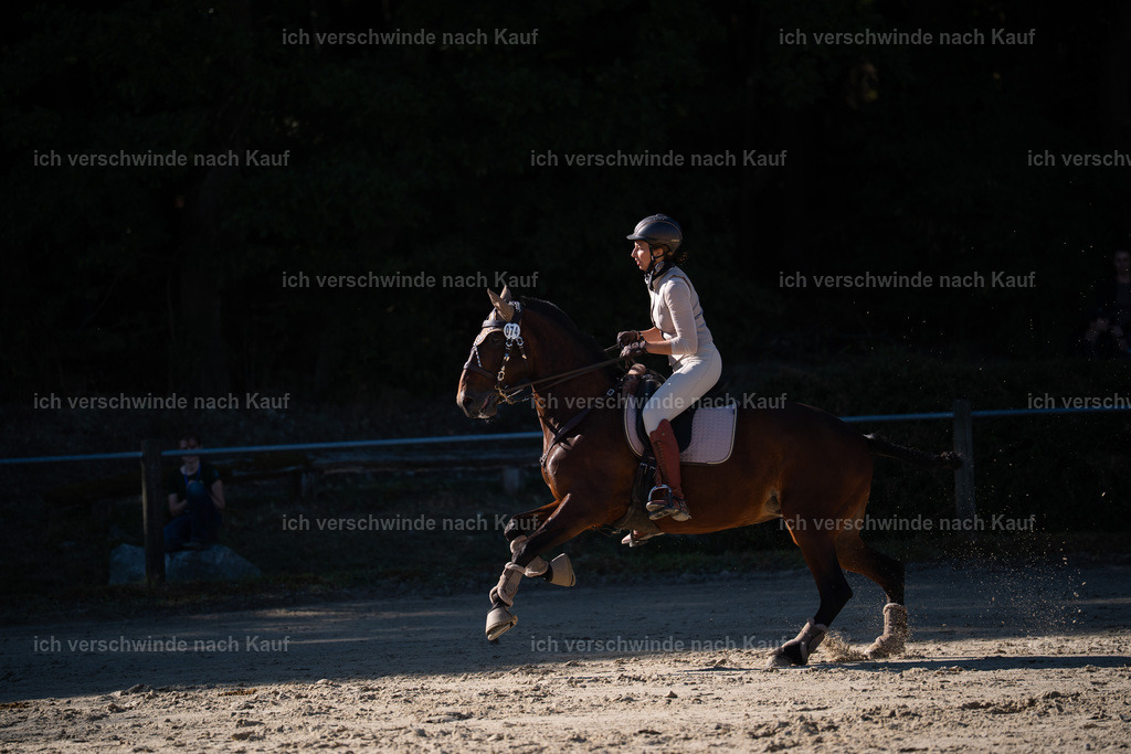 WL_SP_74_Stoibphotography_SO14660 | working equitationturnier fotograf videograf stoibphotography marixx film working equitation deutschland reitsport turnierfotografie eventfotografie equestrian events