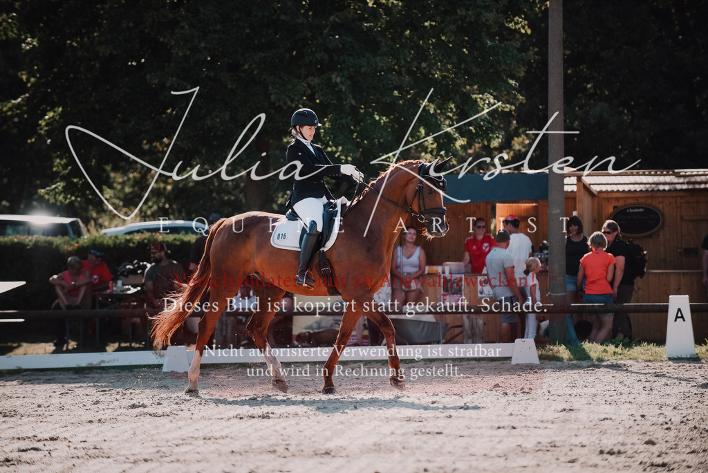 DSC_0427 | Pferde- und Turnierfotografie in Westsachsen. Pferdeportraits, Auftragszeichnungen und intuitive Kunst.